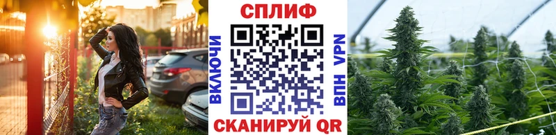 МАРИХУАНА гибрид  Красный Холм 